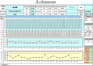 Test Report